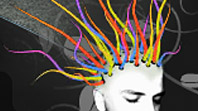 ../../img/thumbs/portfolio2007_thumb.jpg